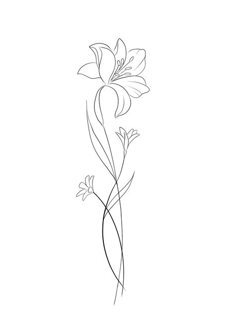 Simple Line Lily Tattoo, Daffodil Tattoo Drawing, Inside Elbow Tattoos For Women Words, Lily Flower Spine Tattoo, Fine Line Floral Tattoos, Tiger Lily Drawing Simple, Iris Song Tattoo, Tattoos Back Spine, Lily Tattoo Drawing