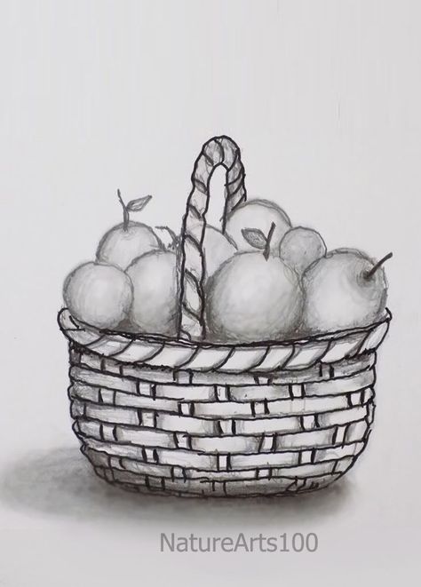 Still life Pencil Shading, Draw a Basket of Fruit, Easy Sketch still-life drawing video .. Still life with pencil shading for beginners Step by Step Still Life Pencil Shading, Easy Still Life Drawing, Still Life Sketch, Fruit Sketch, Fruit Art Drawings, Cute Easy Paintings, Shading Drawing, Basket Drawing, Life Drawing Reference