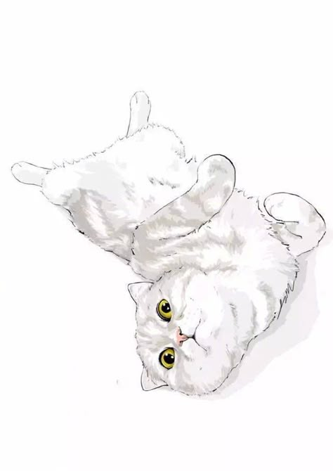 Cat Drawing Tutorial, Maya Art, Cats Art Drawing, Cat Sketch, Cat Artwork, Disegni Artistici, Watercolor Cat, Cats Illustration, Animal Sketches