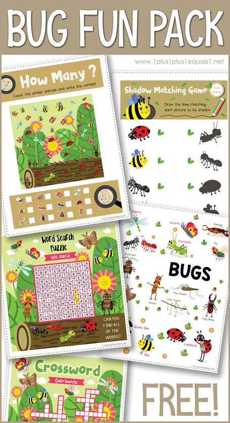 Insect Activity Preschool, Insect Activities Preschool Free Printable, Insect Lesson Plans For Preschool, I Spy Bugs Free Printable, Insect Theme Preschool Activities Free Printables, Bugs Learning Activities, Bugs And Insects Preschool Activities Free Printable, Free Printable Bugs And Insects, Educational Bug Activities