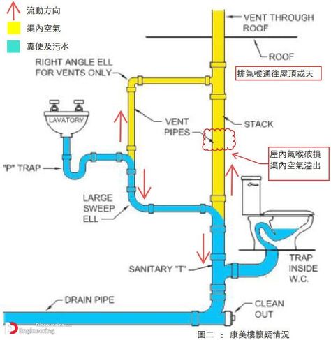 Important Details Of Plumbing System Installation - Engineering Discoveries Toilet Plumbing, Plumbing Diagram, Plumbing Vent, House Plumbing, Plumbing Layout, Residential Plumbing, Bathroom Dimensions, Plumbing Drains, Plumbing Problems