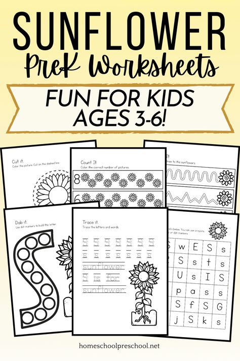 Looking for flower themed preschool printables? These engaging S is for Sunflower printables are perfect for ages 3-6! Sunflower Activities For Kids, Sunflower Activities For Preschool, Sunflowers Preschool, Sunflower Preschool, Inhome Daycare, July Themes, Homeschool Themes, Sunflower Life Cycle, Sunflower Printable