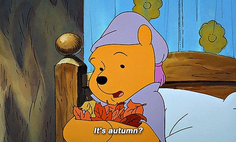 Marissa Core, Disney Autumn, Fall Gif, Cartoon Friends, Vika Papper, Fall Wallpapers, Cute Winnie The Pooh, Warm Apple, Christopher Robin