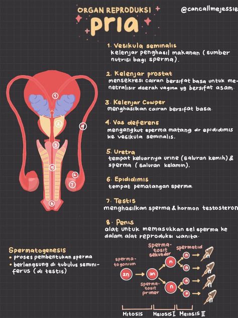 Catatan kelas 9 | learnday on telegram Muscular System Anatomy, Struktur Teks, Study Biology, School Study Ideas, Basic Anatomy And Physiology, Study Tips For Students, Medical Laboratory Science, Medical School Inspiration, Medical School Essentials