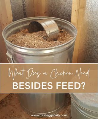 Organic Chicken Feed Recipe, Aesthetic Chicken Coop, Chicken Coop Storage, Chicken Feed Recipe, Chicken Feed Diy, Chicken Layer Feed, Farming Aesthetic, Farm Life Aesthetic, Organic Chicken Feed