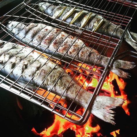 Gorgeous, just gorgeous fish on the BBQ! 😋 🐟 🐟 📷 @robbbqnuijten BBQ grilling fresh #fish 🐟 🐟 #robbbqnuijten #forel #barbecue #lemon #foodporn #charcoal #foodie #instagramfoodies #delicious #freshfish #photooftheday #nomnom #🐟 #bbq #bbqporn #asado #instagood #instafood #foodbeast #instafish #seafood #bbqlads #grilled #grilledfish #bbqlife #bbqfish #yummyfood 🐟 🐟 🤙 Tag a friend who wants some! 🤙 Bbq Fish, Tv Unit Furniture Design, Tv Unit Furniture, Food Menu Design, Grilled Fish, Fresh Fish, Pinterest Photos, Bbq Grill, Menu Design