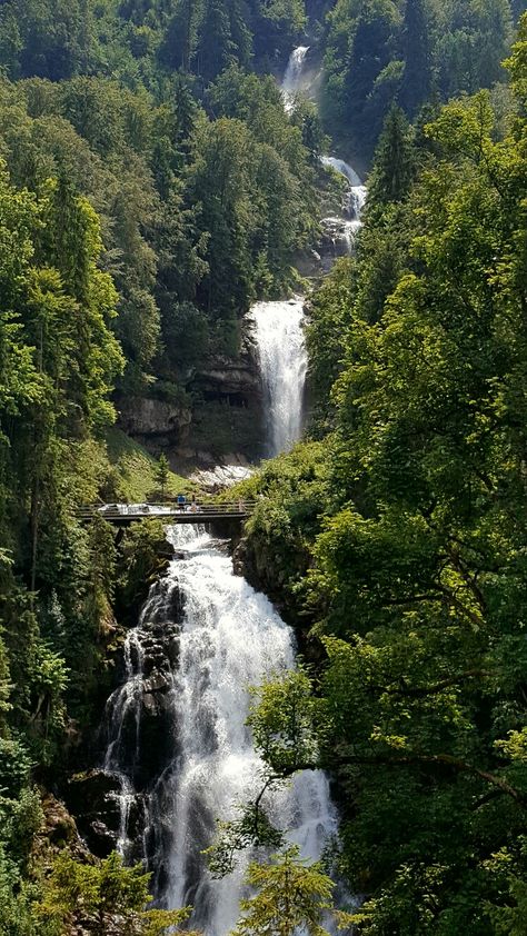 Giessbach waterfall - switzerland Swiss Waterfalls, Giessbach Switzerland, Giessbach Waterfalls, Switzerland Waterfalls, Switzerland Tour, Waterfall Wallpaper, Natural Waterfalls, Waterfall Photo, Waterfall Fountain