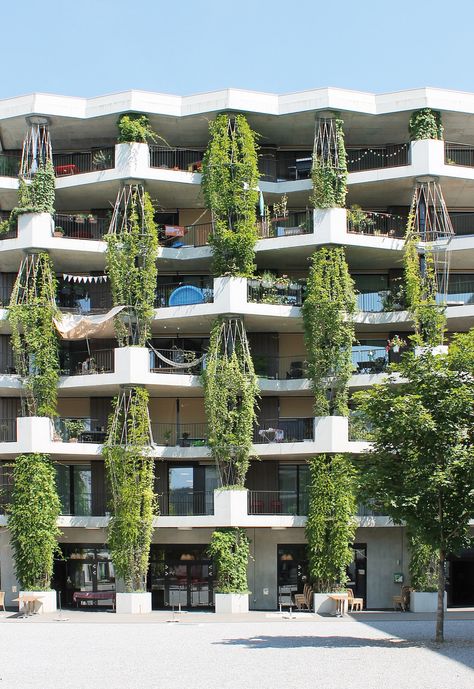 23 Spots You Shouldn’t Miss in Zürich If You Love Architecture | Virginia Duran Green Architecture Concept, Green Building Architecture, Biophilic Architecture, Green Apartment, Eco Buildings, Green Facade, Eco Architecture, Apartment Architecture, Green Architecture