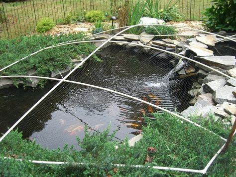 diy pond cover Diy Pond Pool, Pond Covers, Pond Netting, Backyard Aquaponics, Building A Pond, Goldfish Pond, Diy Pond, Fountains Backyard, Winter Leaves