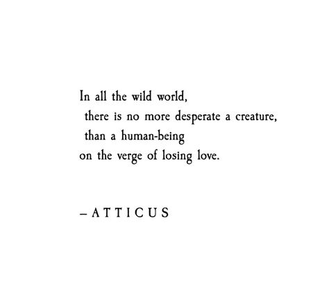 In all the wild world, there is no more desperate a creature, than a human being on the verge of losing love. Feeling Desperate Quotes, No More Love Quotes, Creature Quotes, No Love Quotes, Atticus Quotes, Atticus Poetry, Hard Truth, Happy Summer, Some Words