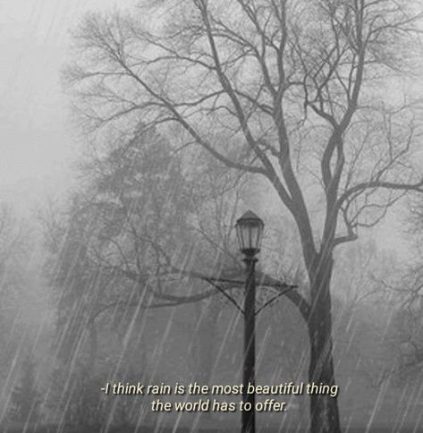 #Rain #Words #Quotes #universe #beautiful Rain Thoughts, Central Park Winter, Rainy Day Quotes, Rain Quotes, Weather Quotes, Rainy Day Aesthetic, I Love Rain, Soothing Quotes, Love Rain