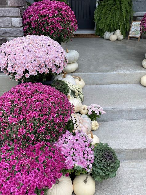 Porch Decorations For Fall, Fall Potted Plants, Shade Plants Container, Fall Container Plants, Front Porch Decorations, Fall Pots, Purple Mums, Fall Container Gardens, Fall Mums