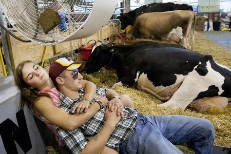 MN State Fair I Want A Man, Mn State Fair, Country Relationship Goals, Cattle Barn, Country Relationships, Country Girl Life, State Fair, Girls Life, Country Girl