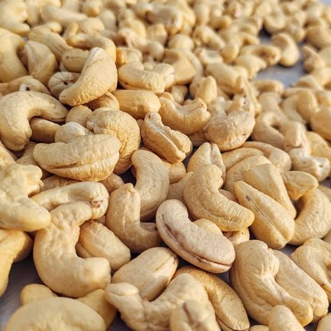 Cashew Nuts Photography, Cashew Photography, Nuts Photography, Big Mouths, Spices Photography, Dried Fruit Mix, Dry Fruits, Photography Food, Cashew Nut