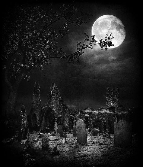 Graveyard Tattoo, Old Cemetery, Haunted Graveyard, Spooky Places, Dark Images, Old Cemeteries, Cemetery Art, Moon Photography, Haunted Places