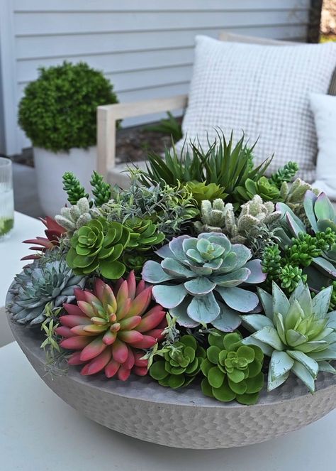 The perfect example of artificial potted succulent plants, this faux succulent arrangement in an attractive grey textured bowl is a luxury piece that brings elevated style to your interior design. Showcase it on a table, and let the garden-inspired design of colorful, assorted life-like fake succulents be the center of attention. Whether you display it in your living space or your home office, this zero-maintenance plant offers lasting beauty and a permanent feeling of nature to keep your surroundings relaxing and peaceful. 13" Tall x 18" Wide Fiber Cement Bowl Planter, 6" Tall x 16" Wide 50% Polyester, 20% Plastic, 20% Pot, 10% Wire Assembled by hand This item is shipped in styrofoam that is free of CFC’s/HCFC’s chemicals and is recyclable at designated locations throughout the U.S. (chec Succulent Garden Pot, Succulent Arrangements Outdoor, Succulent Arrangements Indoor, Succulent Arrangements Diy, Cement Bowl, Outdoor Succulents, Succulent Bowl, Textured Bowl, Artificial Succulent Arrangements