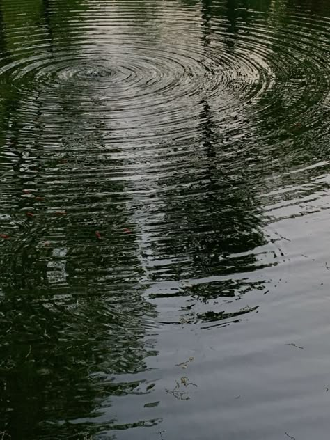 Water Ripples Painting, Rain On Water, Landscape For Painting, Black Roses Wallpaper, Time Wasted, Reflection Photos, Time Well Spent, Water Reflection, Roses Wallpaper