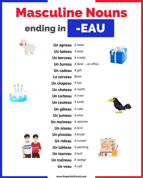 In French, nouns are either masculine or feminine. While it’s always better to study French vocabulary with the right gender, some endings are specific to masculine or feminine, with a couple of exceptions. In this article, we are looking at French masculine nouns ending in -eau. The list is quite short but still worth it. Don’t forget to use the audio to get the pronunciation right. French Grammar Exercises, French Nouns, French Language Basics, French Articles, French Pronunciation, Learn French Beginner, French Basics, Language Learning Apps, French Flashcards