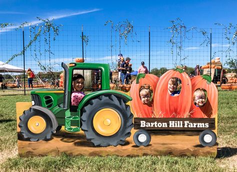 U Pick Pumpkin Patch, Pumpkin Patch Cutouts, Roadside Pumpkin Stand, Pumpkin Farm Ideas, Pumpkin Patch Decorating Ideas, Pumpkin Patch Ideas, Pumpkin Patch Business, Pumpkin Patch Diy, Pumpkin Patch Birthday Party