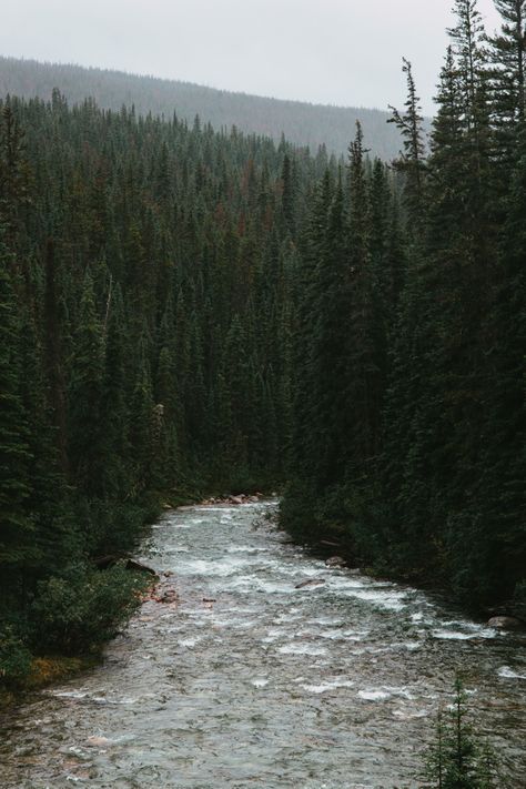 River running through a cold northern forest in the Canadian Rockies. Environment Studies, Cold Forest, Canadian Forest, Forest Cabin, Architecture Ideas, Building Material, Canadian Rockies, Forest River, Great Lakes