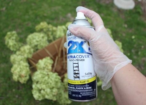 Drying Hydrangeas With Hairspray, How To Display Dried Hydrangeas, Dry Hydrangeas Decor, How To Spray Paint Hydrangeas, Dried Hydrangea Christmas Decor, How To Dry Hydrangea Flowers, Dried Hydrangeas Fall Decor, How To Preserve Hydrangea Blooms, How To Make A Hydrangea Wreath