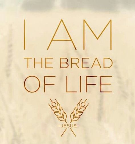 Taste and See the Goodness of the Lord! I Am The Bread Of Life, The Goodness Of The Lord, Bread Of Life, 1st Communion, Taste And See, I Am Statements, Names Of God, Eucharist, Live Forever