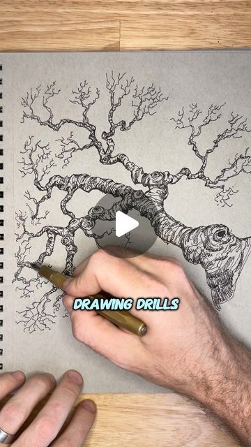 Sean Anetsberger on Instagram: "This is how you draw a gnarled tree branch in ink! Let that hand flow around and let the pen wiggle to find the shape of the tree. You can have a basic idea of what the shape will be but over all you want there to be random bumps and lumps around the outline. 
Drawing this tree was super fun and it allowed me to not worry about getting lines to be perfectly clean and orderly so give it a shot! 

Check out my drawing drills course by tap tap tapping through my profile! 

#artlessons #howtodraw #drawingtutorial #drawinglessons #artcoach" Gnarled Tree Drawing, How To Draw Branches, How To Draw Tree Branches, Pen Tree Drawing, How To Draw Trees Step By Step, Tree Branch Drawing, Drawings Of Trees, Tree Line Drawing, Trees Drawing Tutorial