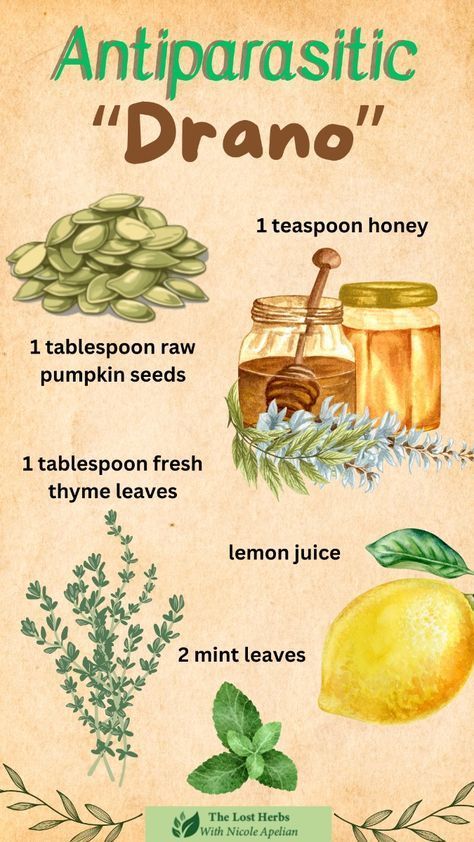 Here’s how you can get rid of parasites. Apothecary Recipes Herbal Medicine, Antiparasitic Food, Antiparasitic Herbs, Skincare Routine And Products, Health Notes, Herbal Education, Detox Body, Herbal Medicine Recipes, Diy Herbal Remedies