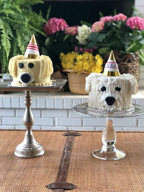 Golden Retriever Cupcakes, Golden Retriever Cake Ideas, Dogs 3rd Birthday, Golden Doodle Birthday Cake, Birthday Cake With Dog, Golden Retriever Party, Go Dog Go Birthday Cake, Dog Cake Design Golden Retriever, Blue Dog Birthday Cake