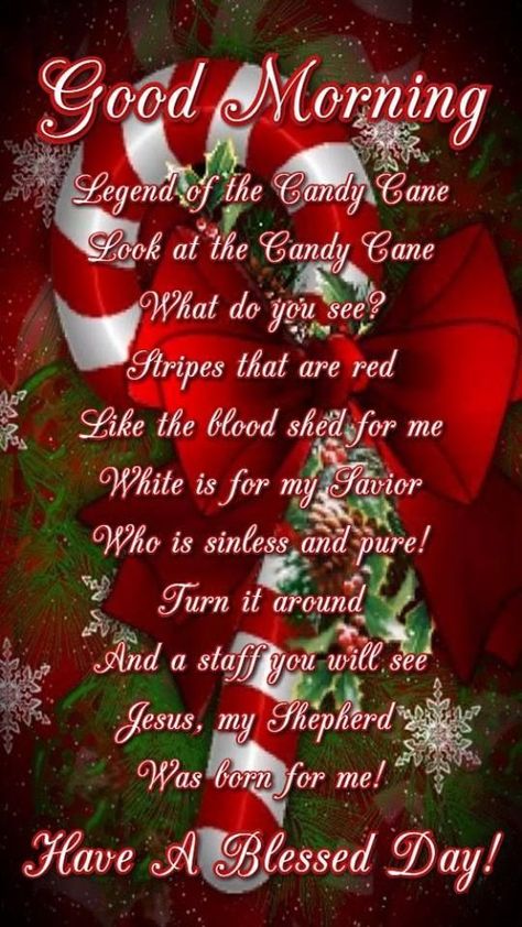 Christmas Morning Quotes, Christmas Messages For Friends, Christmas Greetings Quotes, Christmas Greetings Messages, Good Morning Christmas, Christmas Wishes Quotes, Christmas Poem, Christmas Scripture, Christmas Card Sayings