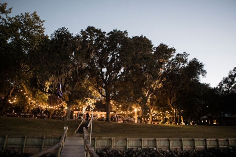 A rustic and earthy fall bayside wedding in Florida with natural elements and bistro lights Bayside Wedding, Wedding In Florida, Bistro Lights, Wedding Lighting, Preowned Wedding Dresses, Fall Weddings, Real Couples, Lighting Inspiration, Natural Elements