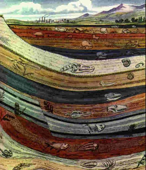 Sedimentary Rock Layers with Fossils | Sedimentary layers with fossils Rock Cycle, Matka Natura, Rocks And Fossils, Geology Rocks, Sedimentary Rocks, Colors And Patterns, Rock Formations, Earth Science, Science And Nature