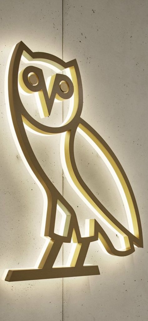 Ovo Wallpaper Iphone, Drake Owl, Ovo Wallpaper, Iphone Wallpaper Rap, Ovo Owl, Ovo Drake, Old Drake, Tattoo Character, Champagne Papi