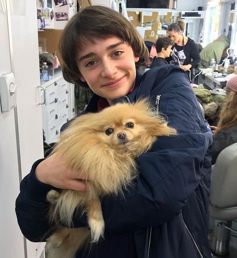 Stranger Things Behind the Scenes Season 3 with Noah Schnapp, Will Byers, Dog, On the Set Finn Stranger Things, Stranger Danger, Stranger Things 3, Stranger Things Kids, Stranger Things Actors, Noah Schnapp, Stranger Things Tv, Cast Stranger Things, Stranger Things Aesthetic