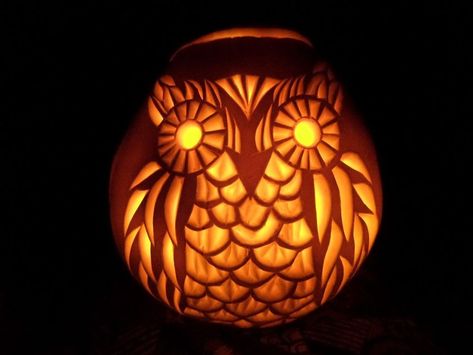 Picture of How to Carve a Pumpkin Owl Owl Pumpkin Carving, Owl Pumpkin, Pumkin Carving, Creative Pumpkin Carving, Amazing Pumpkin Carving, Pumpkin Contest, Pumpkin Carving Designs, Halloween Pumpkin Designs, Carved Pumpkin