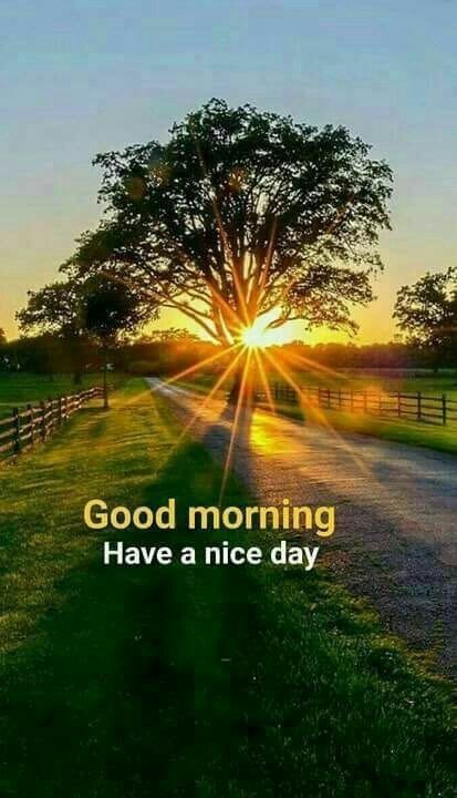 Have A Nice Day - DesiComments.com Best Friend Quotes In Hindi, सुप्रभात संदेश, Good Morning Nature Images, Latest Good Morning, God Natt, Morning Memes, Good Morning Nature, Good Morning Beautiful Flowers, Good Morning Images Hd