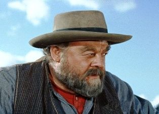 Burl Ives from The Big Country Burl Ives, Eeyore Quotes, Burly Men, William Wyler, Big Boyz, Handsome Older Men, Kirk Douglas, Thomas Hardy, Big Country