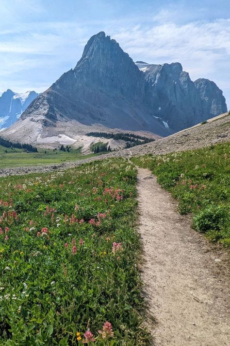 The Great Divide Trail is Canada's wildest and most epic thru-hike. The 1100km+ trail traverses the Continental Divide in the Canadian Rockies, crossing the BC/Alberta border no less than 30 times. Most of the GDT is located in the alpine, in the midst of soaring peaks and glaciers. Some of Canada's most iconic mountain landscapes are showcased on the GDT, including Mount Assiniboine, the Rockwall and Mount Robson. Click here to discover more and get planning a hike today! offtracktravel.ca Mount Assiniboine, Mount Robson, Continental Divide Trail, Long Distance Hiking, Thru Hike, Evermore Era, Forest Lodge, Mountain Landscapes, Continental Divide