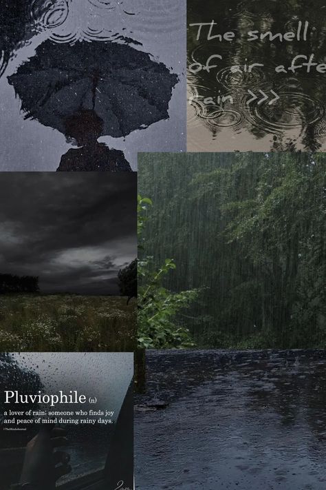 Pluviophile Wallpaper, Pluviophile Aesthetic Wallpaper, Raining Aesthetic Wallpaper, Dark And Moody Aesthetic, Rainy Day Collage, Rainy Backgrounds, Pluviophile Aesthetic, Collage Quotes, Rainy Day Wallpaper