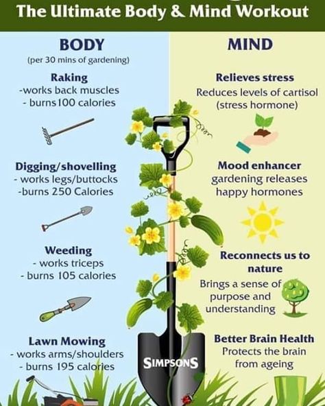 An interesting summary of the benefits of gardening 🌱⛅ We still all need our excercise and also something to keep us occupied and gardening is the perfect past time! ☺🌞🌱👨‍🌾👩‍🌾🌈 #gardeningmakesmehappy #gardening #plantsmakepeoplehappy #plantsplantsplants #gardeningtherapy  #holdenclough #allthingsgarden #since1927 #theplantspeople #homedelivery #ribblevalley #clitheroe #clitheroeplants #plantstoyourdoor National Heart Month, Horticulture Therapy, Heart Month, Garden Rake, Benefits Of Gardening, Healing Garden, Sensory Garden, Happy Hormones, Go To The Gym