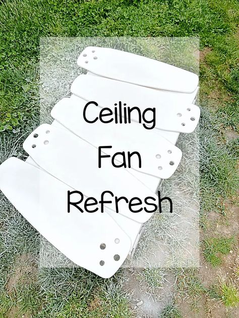 painting ceiling fan blades Ceiling Fan Globes Crafts, Rental Ceiling Fan Makeover, Paint Fan Blades Diy, How To Paint Ceiling Fan Blades, Diy Ceiling Fan Blades Ideas, Paint Ceiling Fan Blades, Paint Fan Blades, Ceiling Fan Makeover Diy Ideas, Painted Ceiling Fan Blades