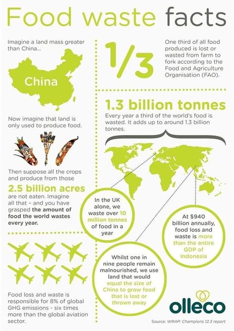 Food Waste Infographic, Food Waste Poster, Food Waste Project, Food Waste Campaign, Compost Machine, Food Chemistry, Food Wastage, Environmentally Friendly Living, Brown Hairstyles