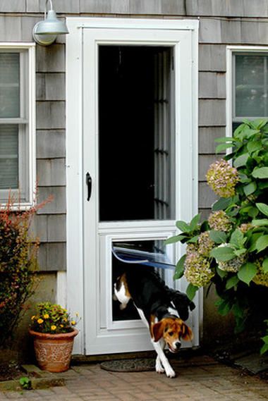 SPD500 - Screen Door White. https://www.doors4petsandpeople.com/storm-doors-4-pets?lightbox=dataItem-ilfq7wd3 Screened Porch Doors, Large Dog Door, Storm Doors, Budget Bathroom Remodel, Pet Doors, Modern Screens, Porch Doors, Door White, Pet Door