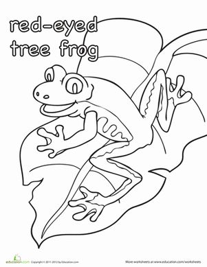 Kindergarten Animals Worksheets: Color the Red-Eyed Tree Frog Africa Eyfs, Frog Worksheet, Red Eye Tree Frog, Rain Forest Theme, Frog Coloring, Kids Christmas Coloring Pages, Rainforest Theme, Red Pages, Reptile Party