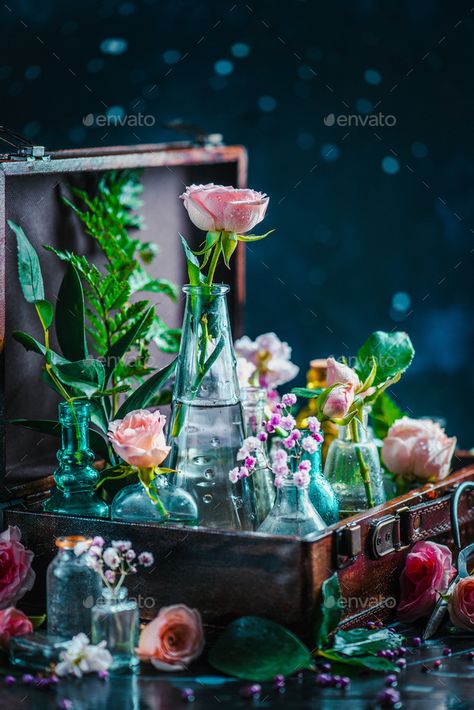 Flower still life. Roses and leaves in vintage glass bottles close-up. Botany and perfume header on a dark background with copy space. Color contrast and backlight Pharmacy Art, Vintage Glass Bottles, Billy Kidd, Chemistry Art, Flower Still Life, Cottagecore Gifts, Still Life Pictures, Flower Collection, Magic Aesthetic