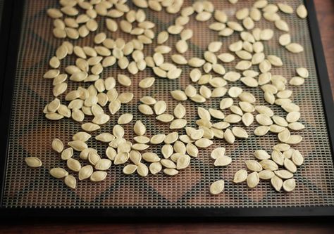 how-to-make-pumpkin-seeds-unshelled Pumpkin Seeds Dehydrator, Dehydrating Pumpkin Seeds, Dehydrate Pumpkin Seeds, Dehydrated Pumpkin Seeds, Drying Pumpkin Seeds, Dehydrating Pumpkin, Make Pumpkin Seeds, Dehydrated Veggies, Dehydrator Ideas