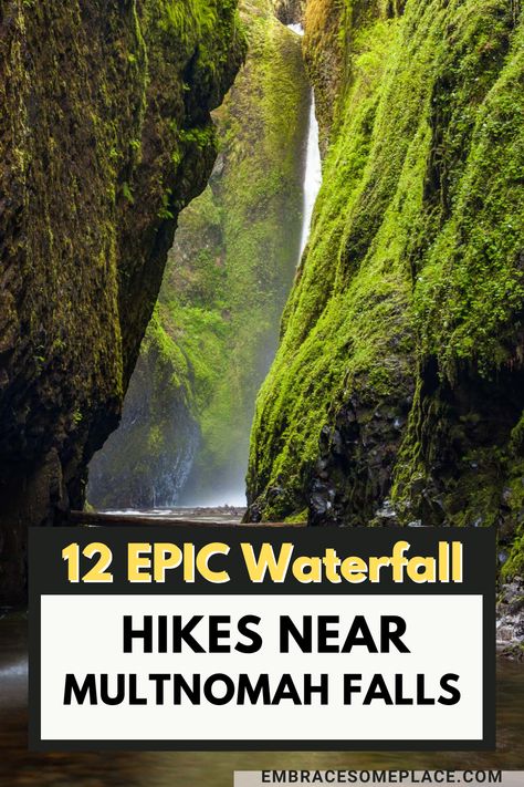 waterfalls near Multnomah falls Trail Of 10 Falls Oregon, Multnomah Falls Oregon Photography, Wahclella Falls Oregon, Latourell Falls Oregon, Hikes Near Portland Oregon, Tunnel Falls Oregon Hike, Bend Oregon Aesthetic, Brandon Oregon, Tunnel Falls Oregon