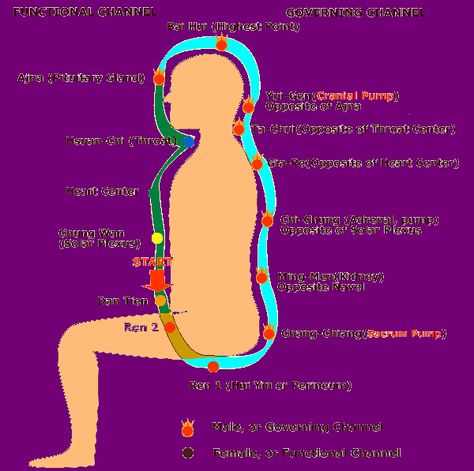 Microcosmic Orbit Yoga The meridians are the energy channels of our body. This is where energy or chi circulates. There are two primary meridians in our  body.  One flows up along the spine. Other … Meridian Channels, Microcosmic Orbit, Ramdev Yoga, Mantak Chia, Medical Qigong, Sivananda Yoga, Kundalini Meditation, Kriya Yoga, Energy Therapy