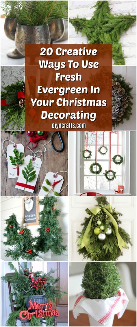 20 Creative Ways To Use Fresh Evergreen In Your Christmas Decorating #Christmas #decorating #evergreens #diy via @vanessacrafting Holly Decorations, Evergreen Christmas, Diy Christmas Wreath, Outside Christmas Decorations, Christmas Creative, Diy Christmas Wreaths, Homemade Christmas Decorations, Garden Christmas, Christmas Greenery