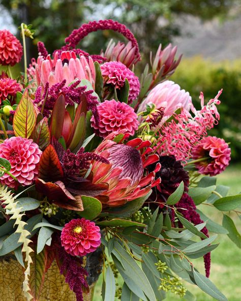 https://at.tumblr.com/daintyus/700362577063165952/2j5q4hy8qrtf Australian Native Flowers, Seasons Winter, Flower Vase Arrangements, Bright Pastels, Vase Arrangements, Follow Your Heart, Blog Content, Fall Floral, Changing Seasons